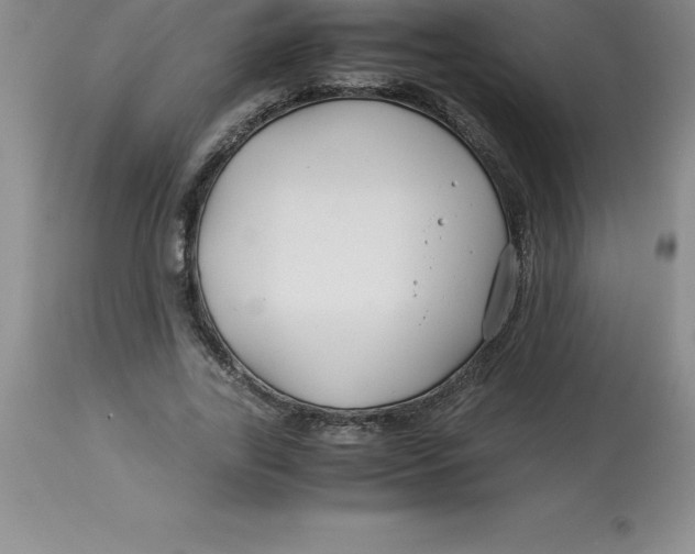 X0000112880731200909181848