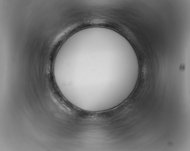 X0000112880732200909181848