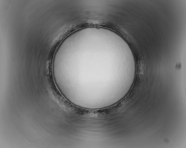 X0000112880738200909181848