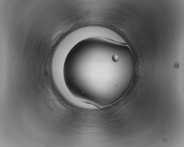 X0000112880740200909181848