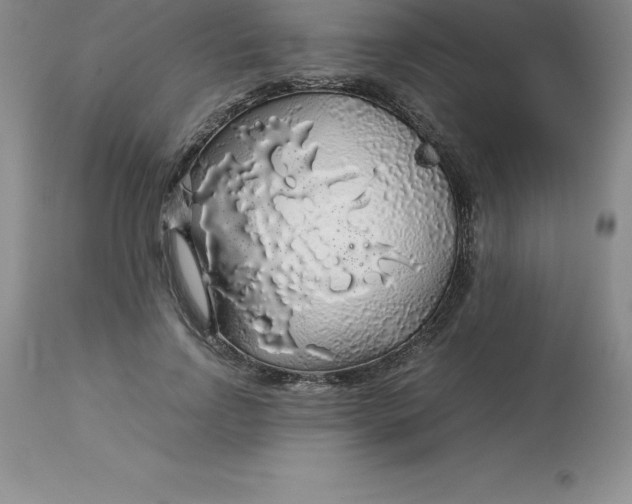 X0000112880742200909181848