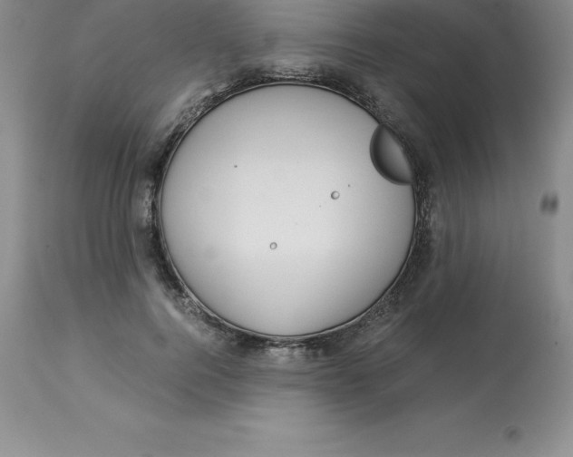 X0000112880744200909181848