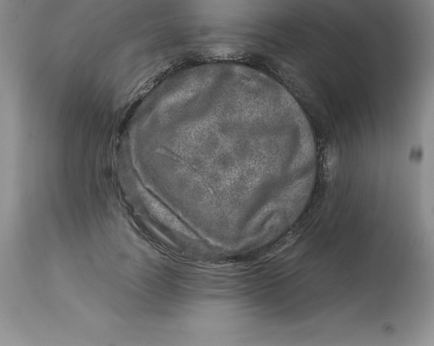 X0000112880746200909181848