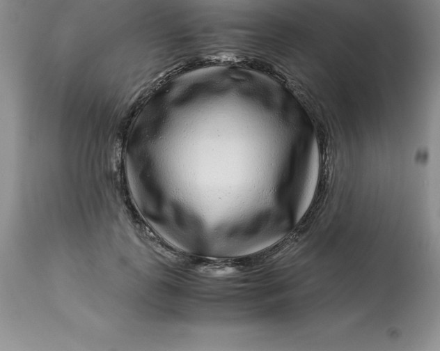 X0000112880747200909181848