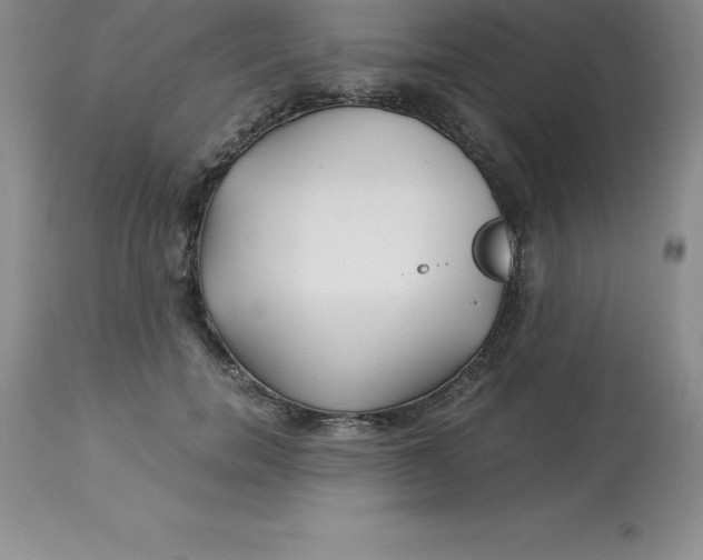 X0000112880750200909181848