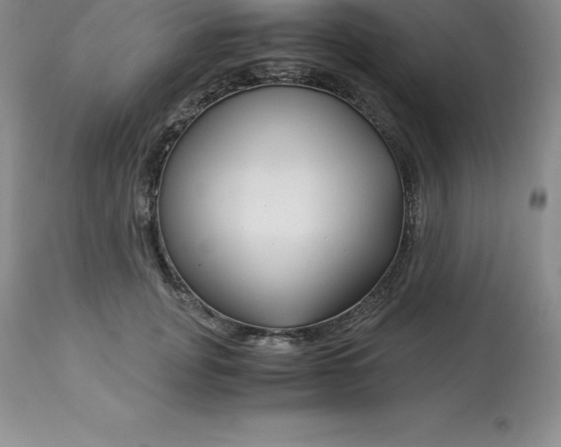 X0000112880751200909181848