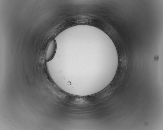 X0000112880753200909181848