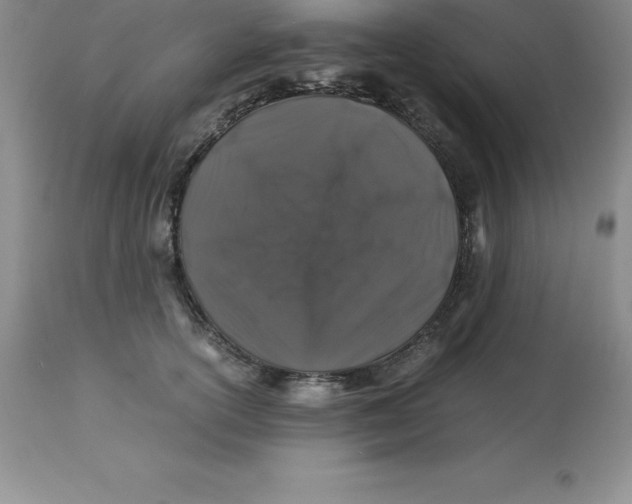 X0000112880754200909181848