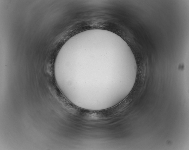 X0000112880755200909181848