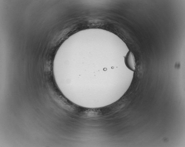 X0000112880756200909181848