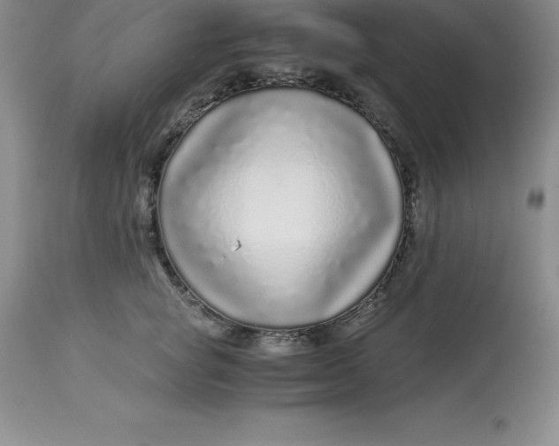 X0000112880757200909181848