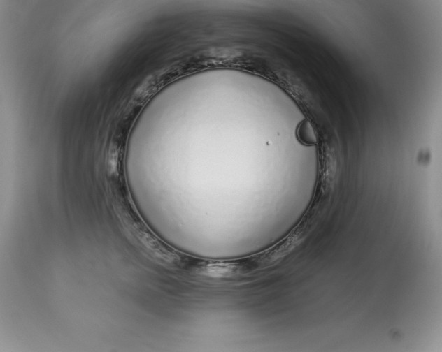 X0000112880758200909181848