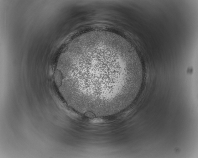 X0000112880759200909181848