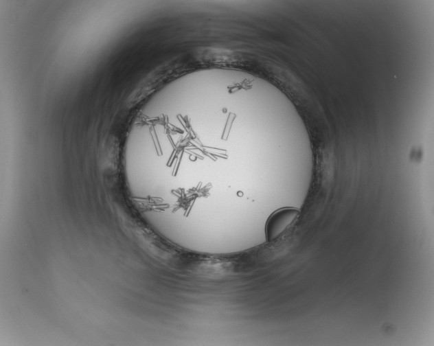 X0000112880760200909181848