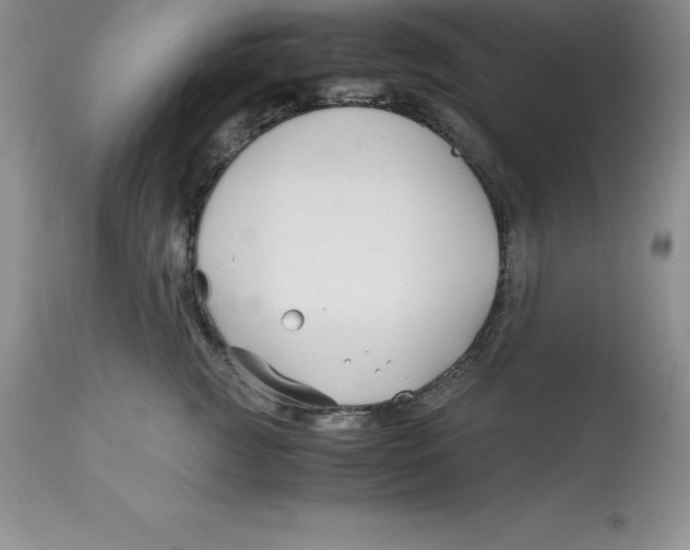 X0000112880761200909181848