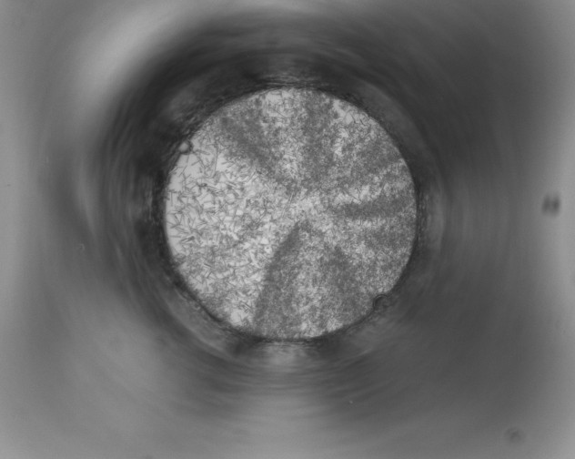 X0000112880762200909181848