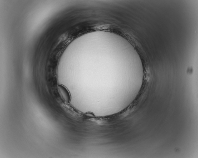 X0000112880763200909181848