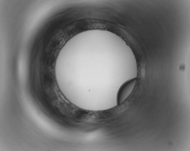 X0000112880764200909181848