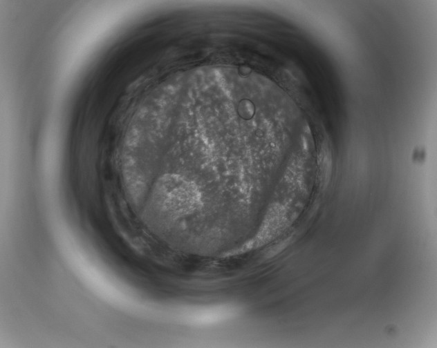 X0000112880765200909181848