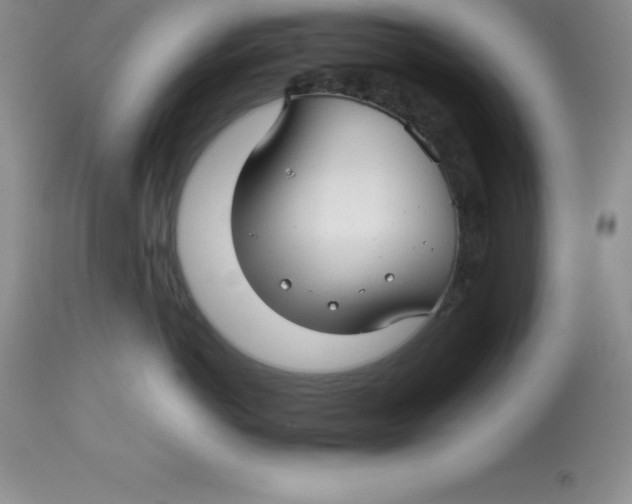 X0000112880766200909181848