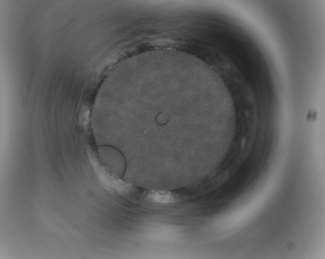 X0000112880767200909181848