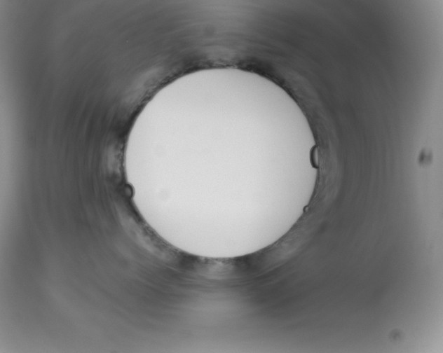 X0000112880768200909181848