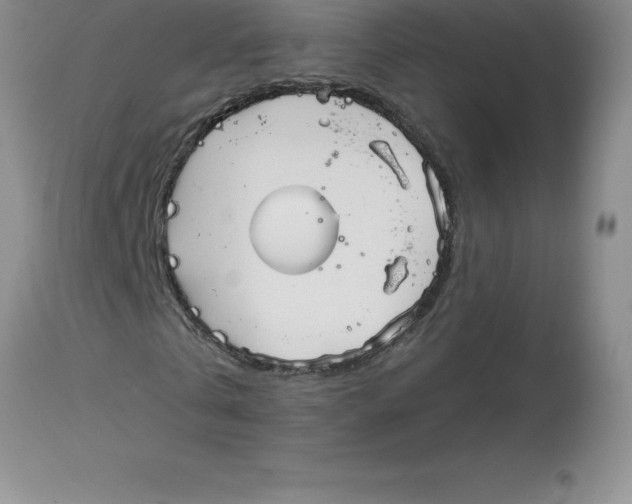 X0000112880769200909181847