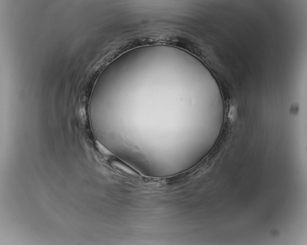 X0000112880771200909181847