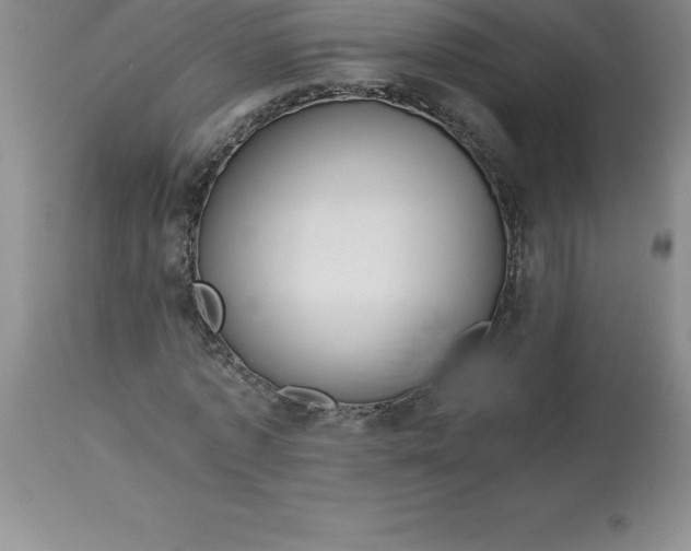 X0000112880773200909181847