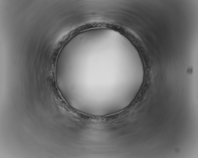 X0000112880775200909181847