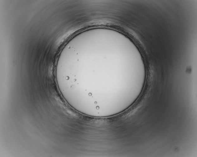 X0000112880778200909181847