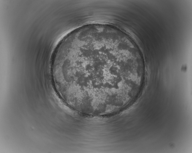 X0000112880779200909181847