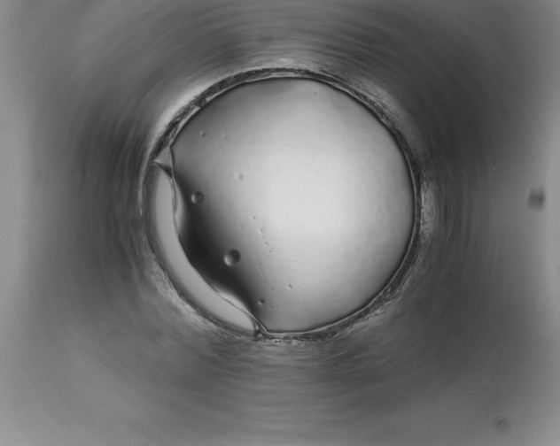 X0000112880780200909181847