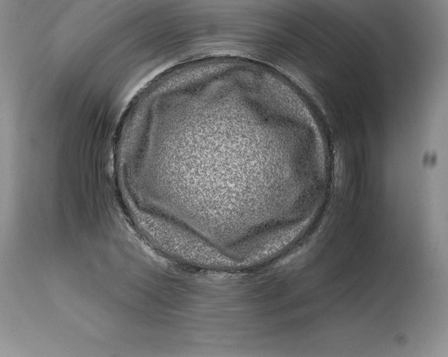 X0000112880782200909181847