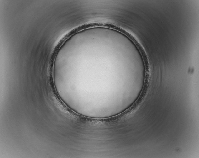 X0000112880783200909181847