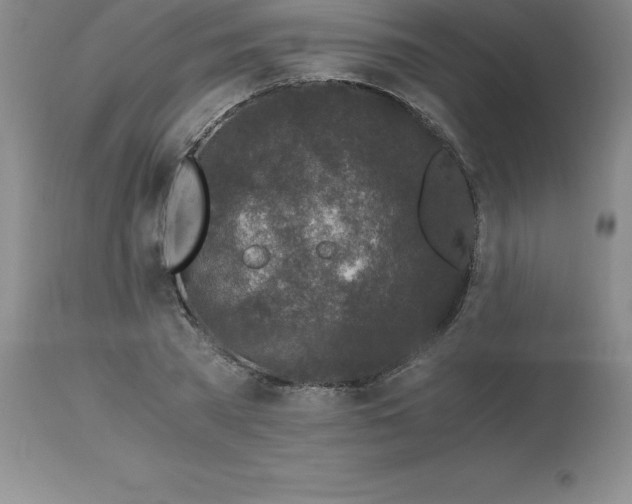 X0000112880785200909181847