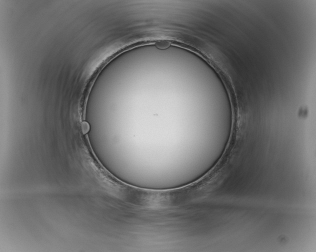 X0000112880789200909181847