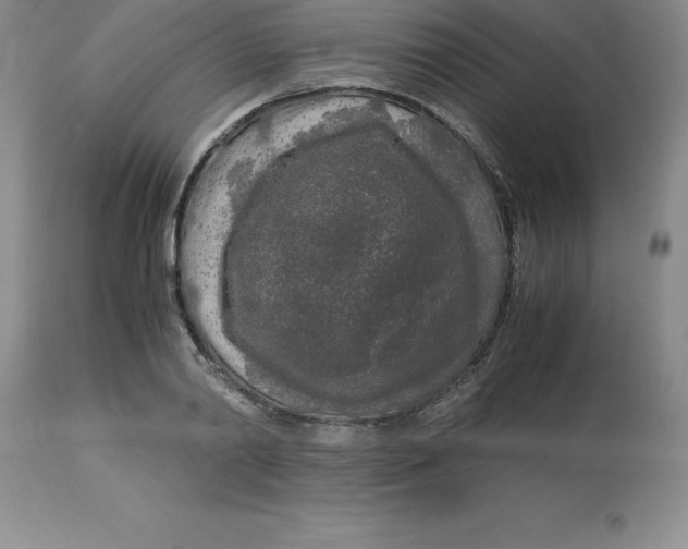 X0000112880790200909181847