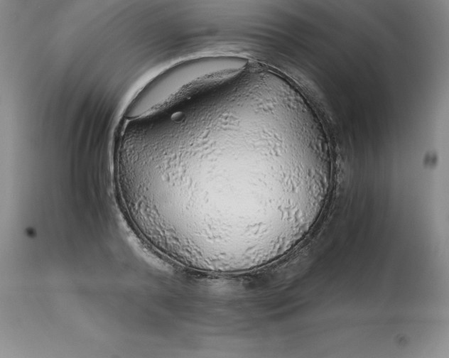 X0000112880792200909181847