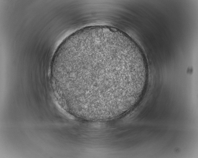 X0000112880797200909181847