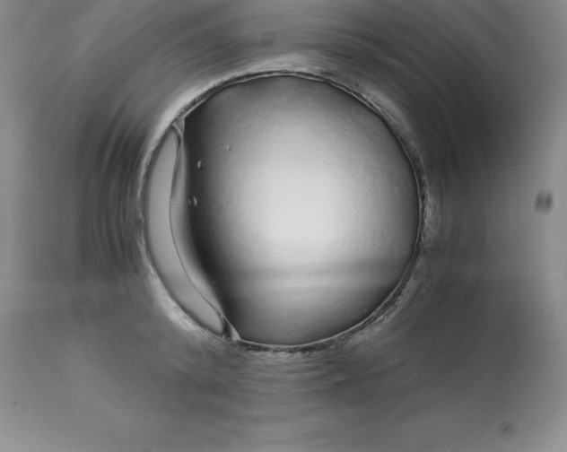 X0000112880800200909181847