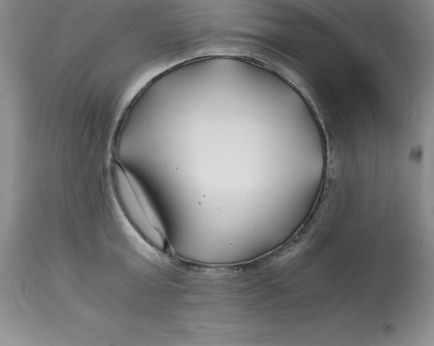 X0000112880803200909181847