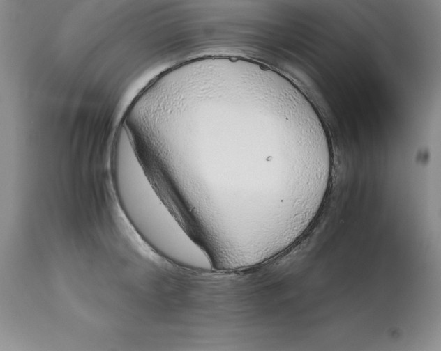 X0000112880804200909181847