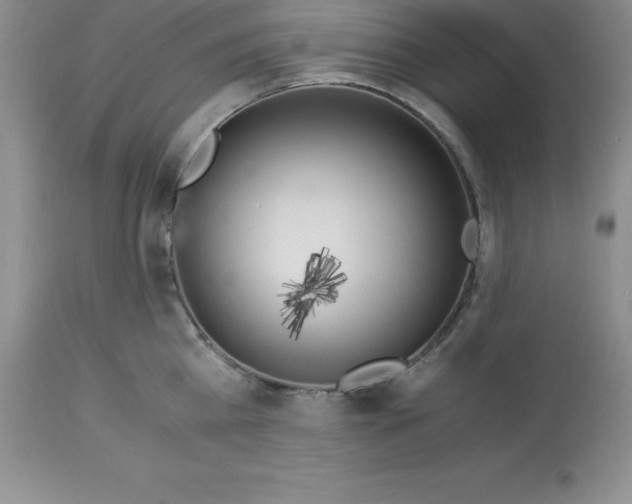 X0000112880809200909181847