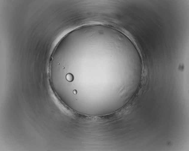 X0000112880811200909181847