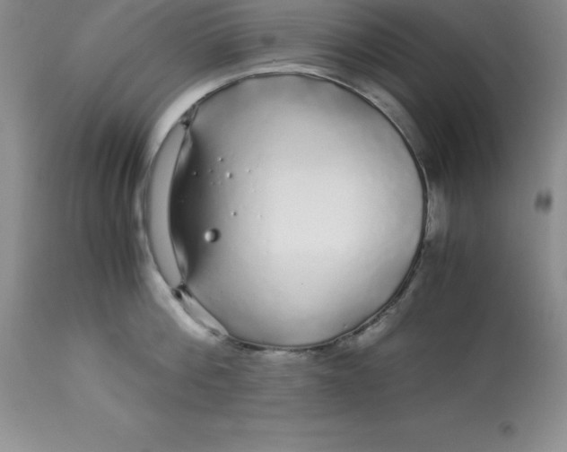 X0000112880812200909181847