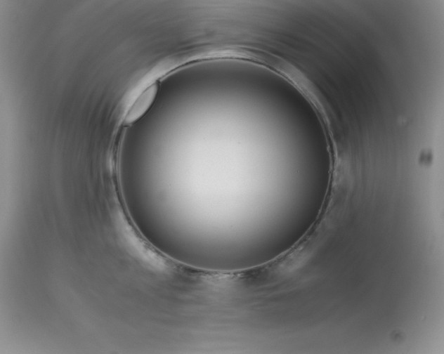 X0000112880813200909181847