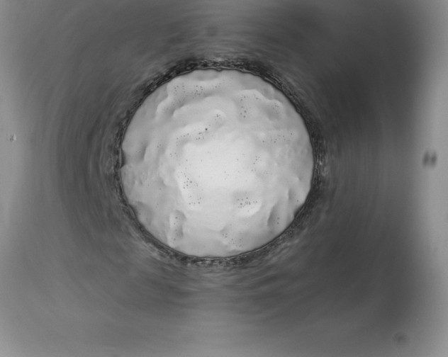 X0000112880817200909181846