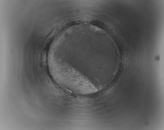 X0000112880818200909181846