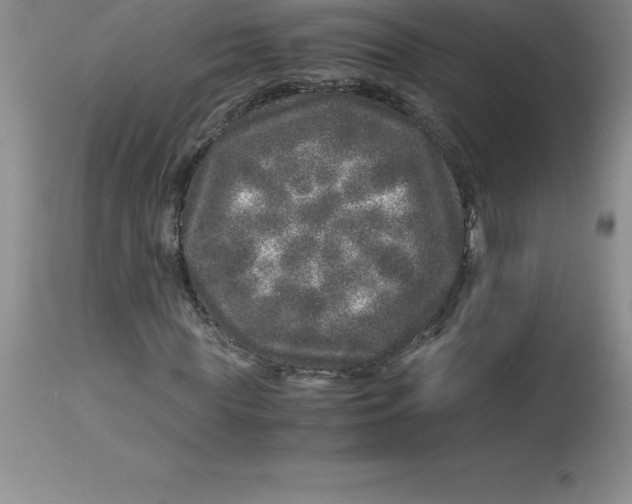 X0000112880819200909181846